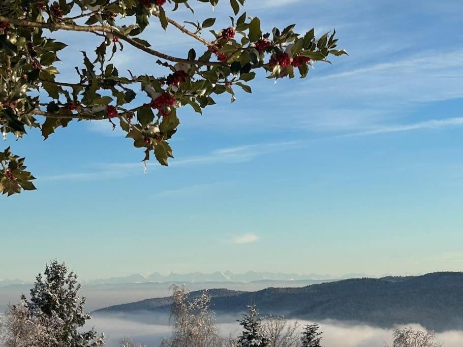 Un Coin De Montagne Apartment Linthal Luaran gambar